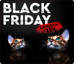 ������ � Black Friday 2020