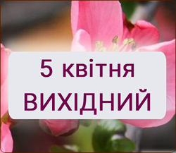5 ������ - ��������